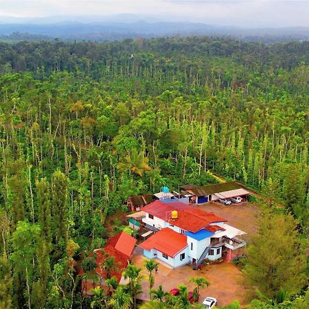 New Organic Home Stay Mudigere Exteriér fotografie