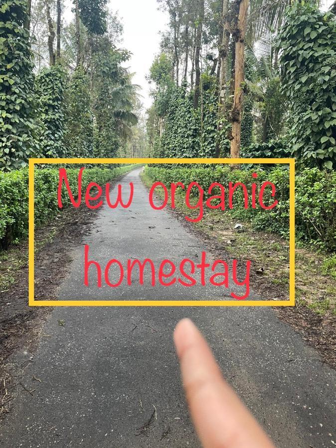 New Organic Home Stay Mudigere Exteriér fotografie
